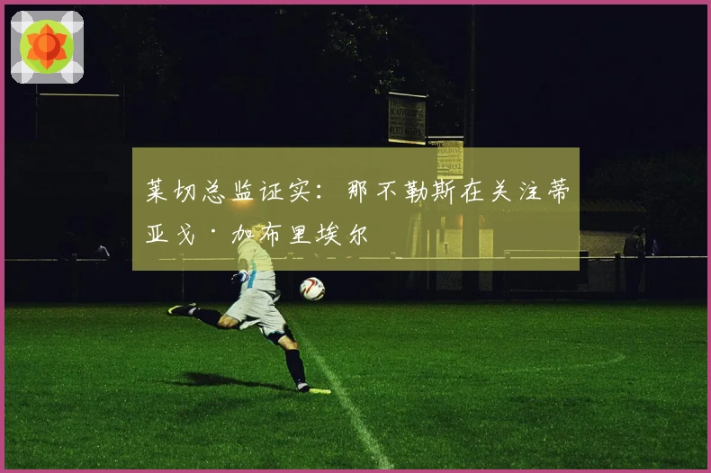 莱切总监证实：那不勒斯在关注蒂亚戈·加布里埃尔