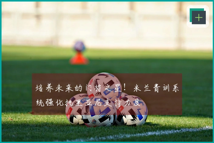 培养未来的门将之星！米兰青训系统强化托里亚尼支持力度