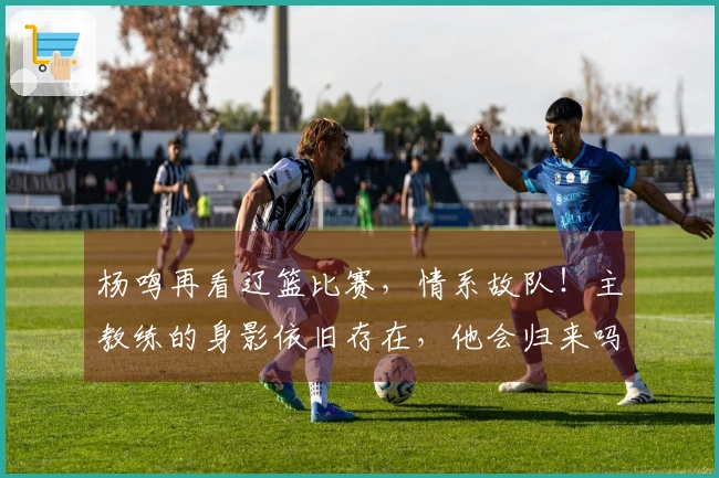 杨鸣再看辽篮比赛，情系故队！主教练的身影依旧存在，他会归来吗？