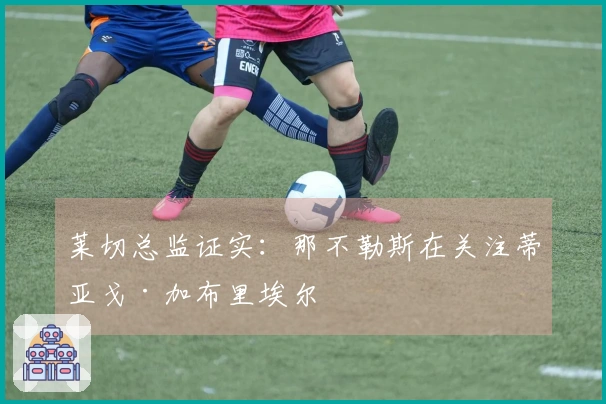 莱切总监证实：那不勒斯在关注蒂亚戈·加布里埃尔